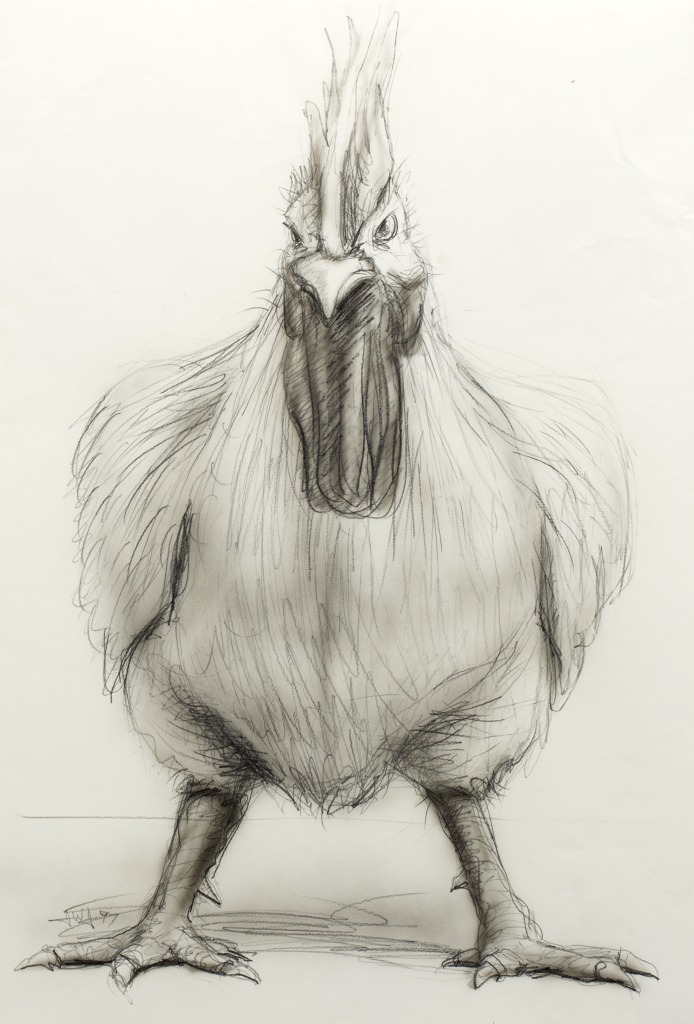 Chicken sketch